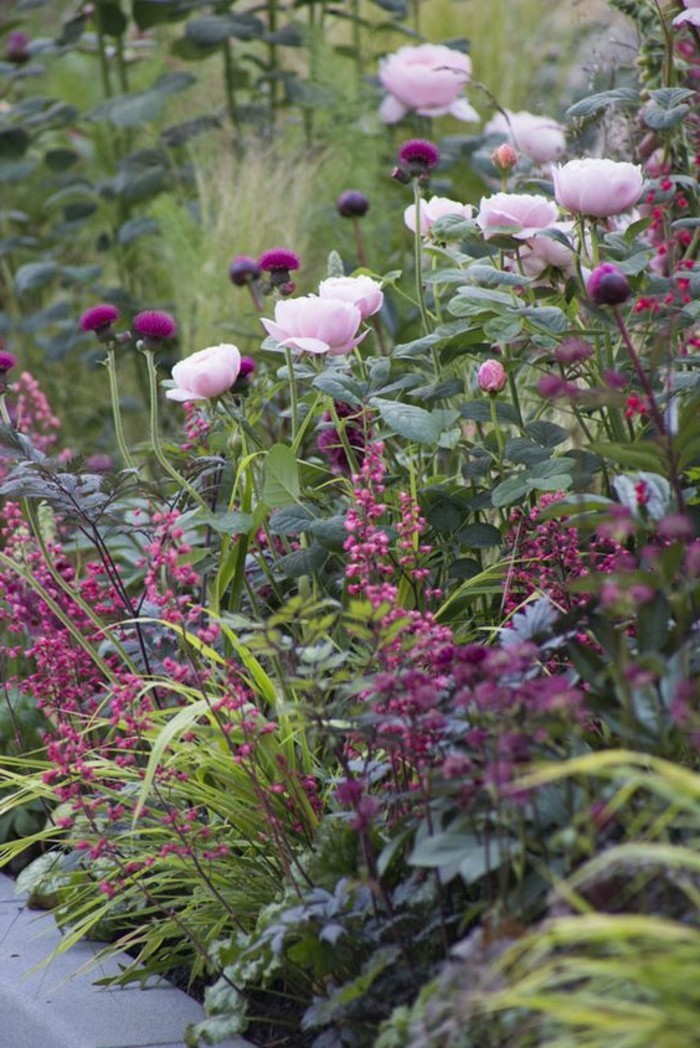 Inglés-jardín-completos con flores de primavera-gran-