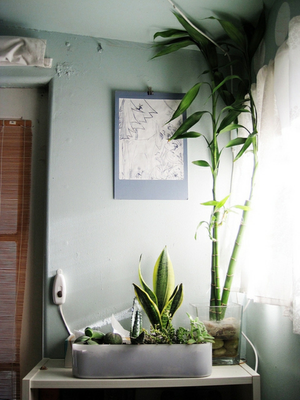 غرفة نوم مع العديد من النباتات الخضراء