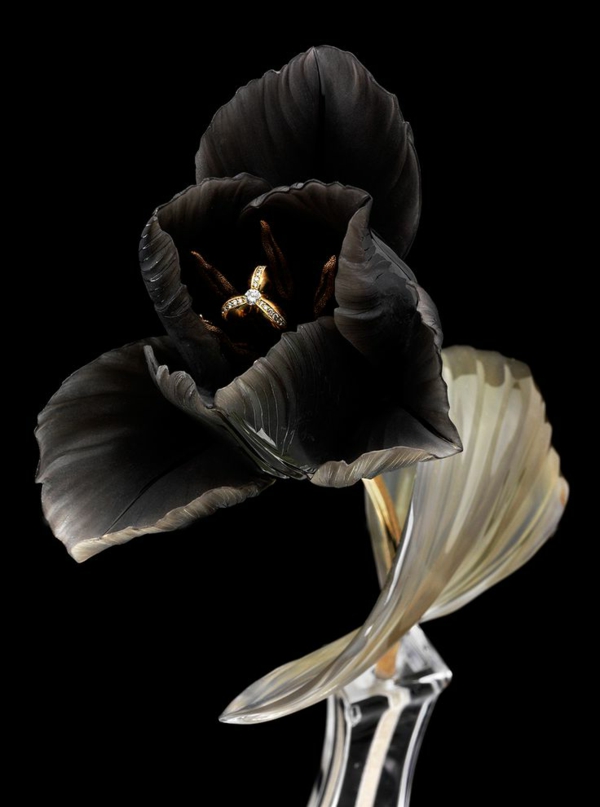 extravagante foto-of-a-negro-tulipán