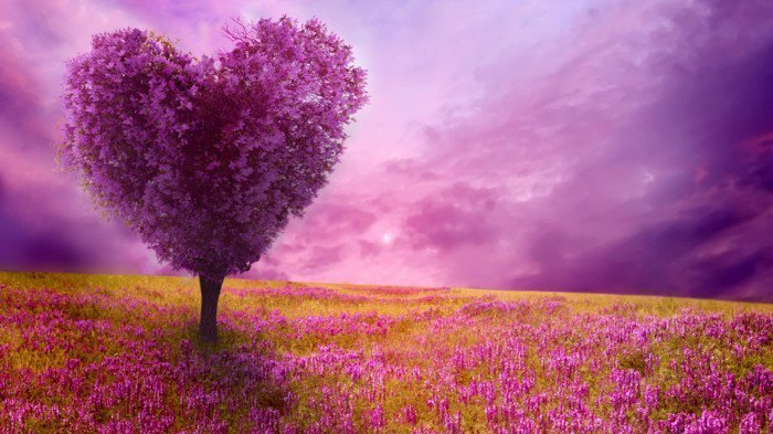 Fabulous Kuva-the-luonnollinen värjätty-in-violetti