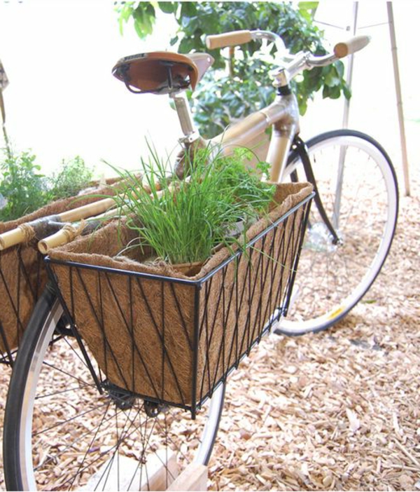 planta de cesta de bicicleta - plantas decorativas en verde