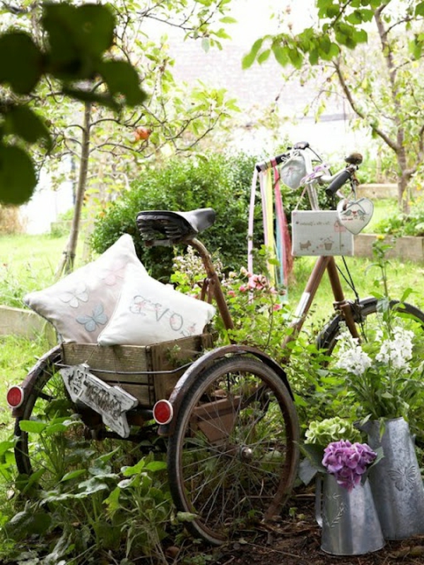 אופניים דקו עם שלושה גלגלים וזורק - צמחים ירוקים