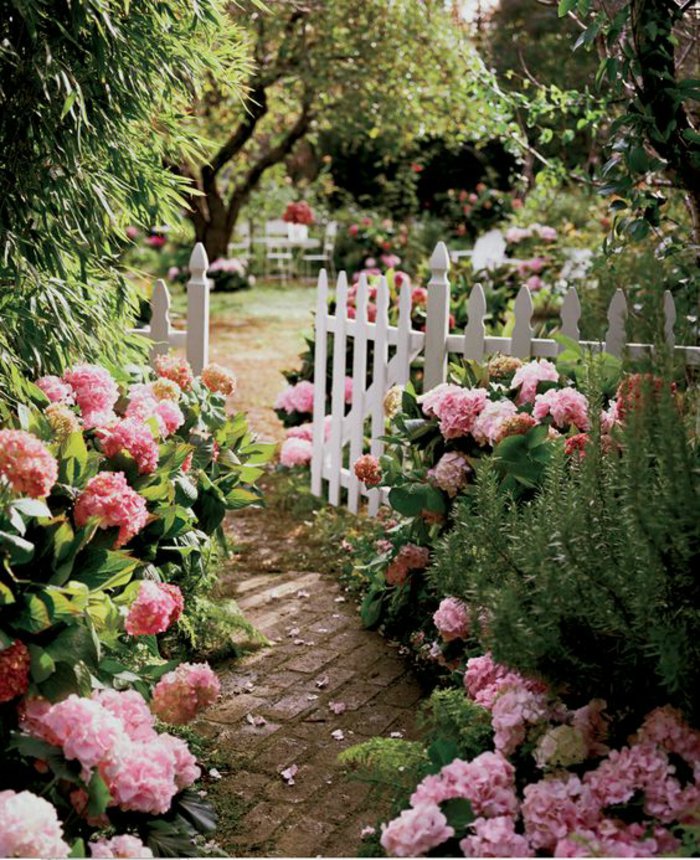fantastinen puutarha-täynnä hortensiat