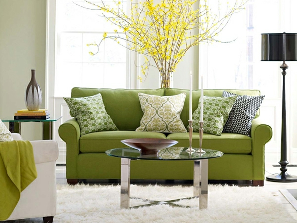 对于客厅，橄榄沙发黄色植物的想法色