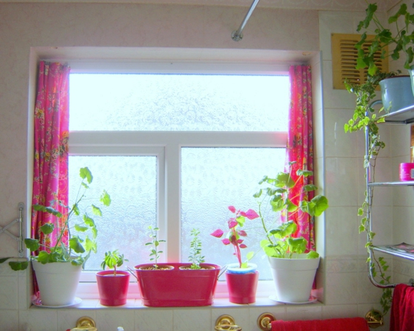 Ablak ciklámen függönyökkel és virágokkal a cserépben