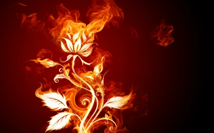 אש-טפטים-פרח-יפה-