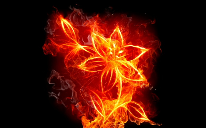 palo-tapetti-mielenkiintoinen kukka