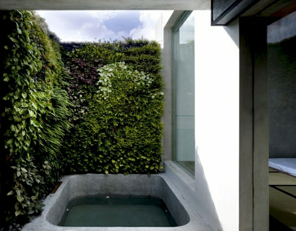 forma gris de la bandeja de ducha - planta verde, diseño gris