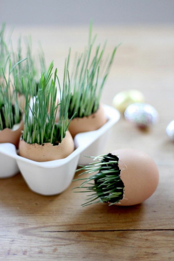 快乐复活节种植的蛋超级甜美而酷的图片