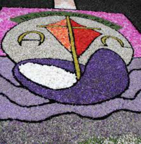 קורפוס כריסטי פרח שטיח סגול ניואנסים