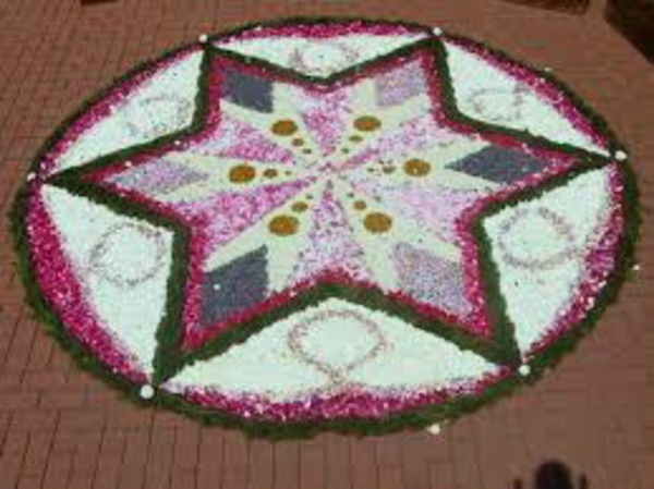 קורפוס כריסטי פרח שטיח כוכב