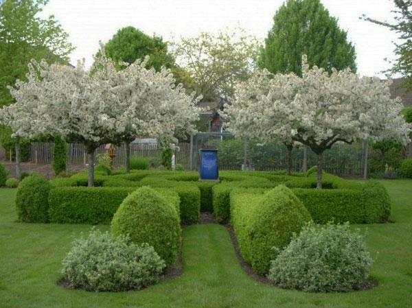 Takapiha puiden kanssa valkoisia kukkia