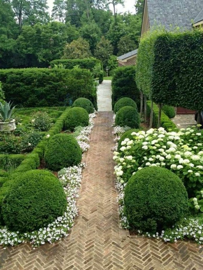 las plantas en forma de jardín-diseño-path-