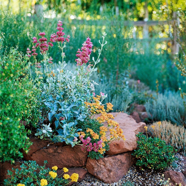 कई हरे पौधे, पत्थरों और रंगीन फूलों के साथ गार्डन