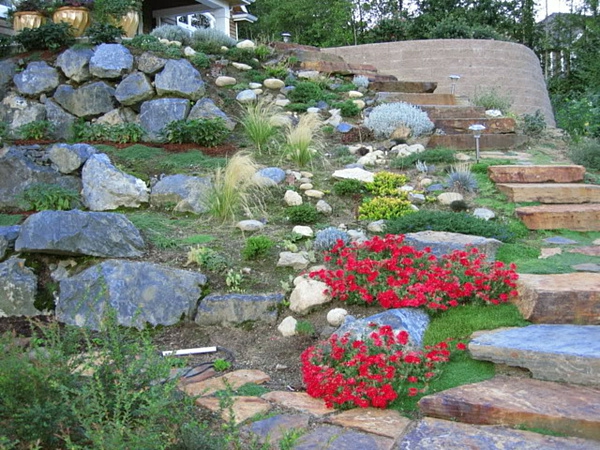 רעיון הגינה - מדרגות אבן ופרחים צבעוניים