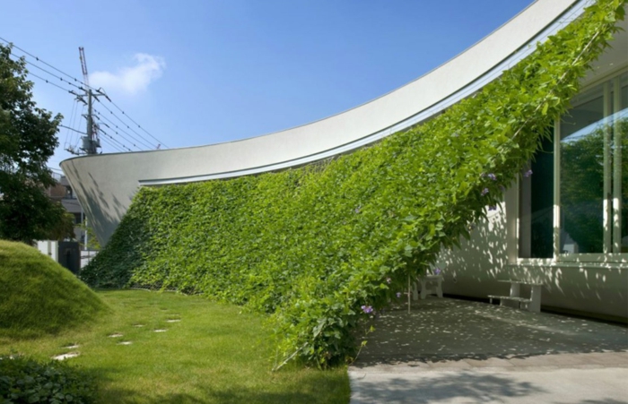 κήπος-ομορφύνει-δημιουργικό-σύγχρονη αρχιτεκτονική