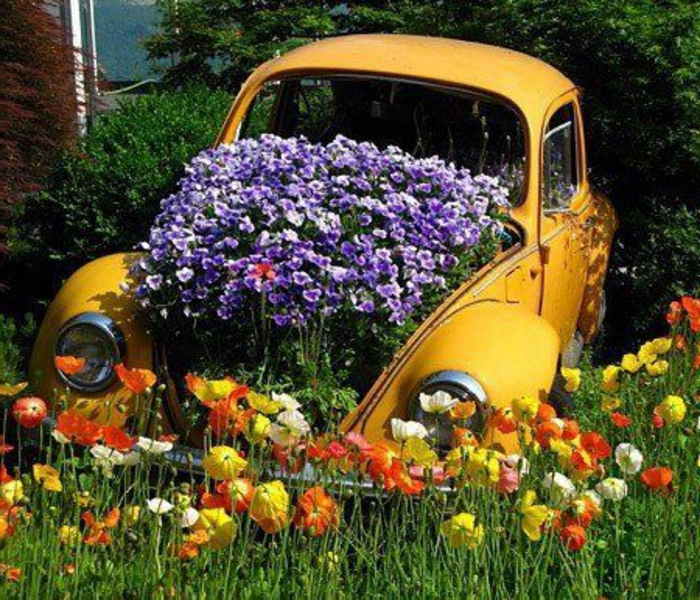 κήπος-ομορφύνει-μοβ-λουλούδια-σε-ένα-κίτρινο αυτοκίνητο