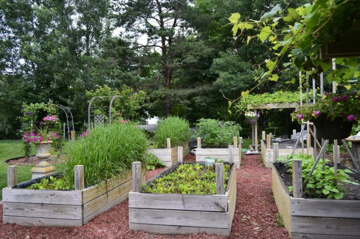 花园甜菜创建伟大-vorgarten壁纸