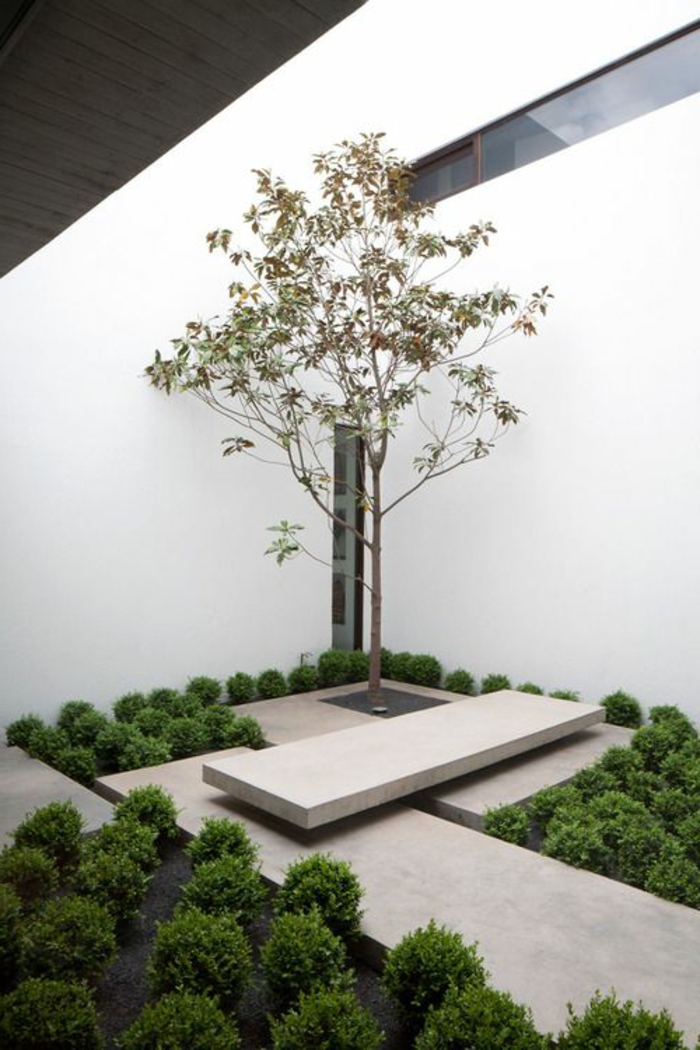 un árbol solitario plantado en un jardín minimalista rodeado de muchos arbustos verdes