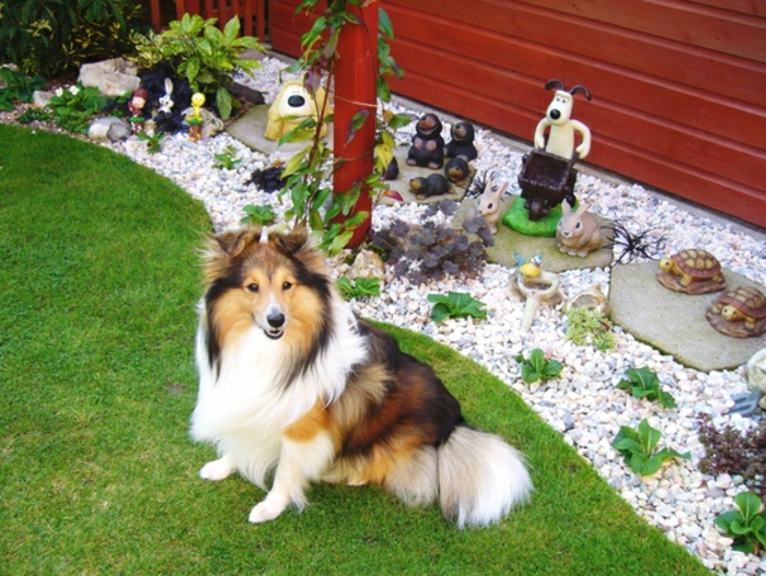 Gartengestaltung-with-sora-a-dog-next