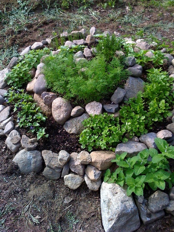 पत्थर और हरे पौधों की सजावट के साथ गार्डन डिजाइन - गोल आकार