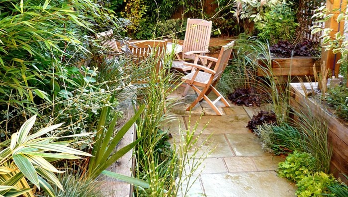 ideas, para pequeñas y jardines-hermosa-verde-planta-jardín atractivo diseño