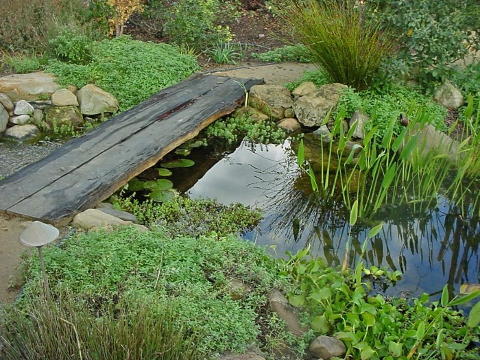 gartenteich创建花园池塘创建