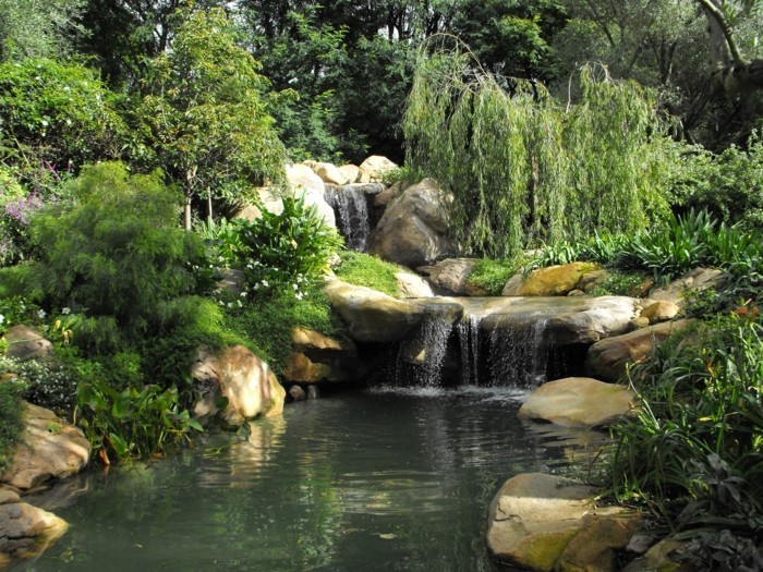 创建一个花园池塘是，这里出头，投资到主题的迷你花园pond-