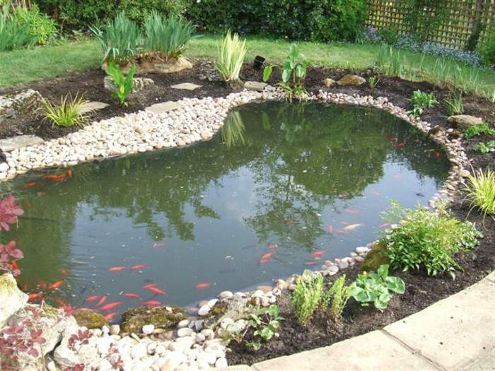 gartenteich，添加新创意到主题小池塘，花园