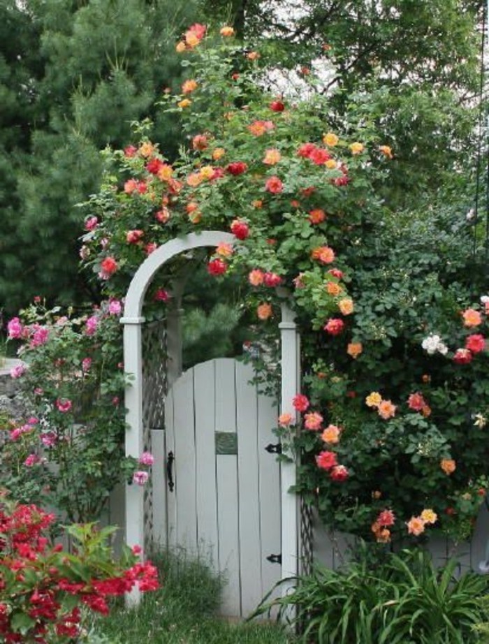 Gartentor-pyöreä kaari-face suoja-ruusut