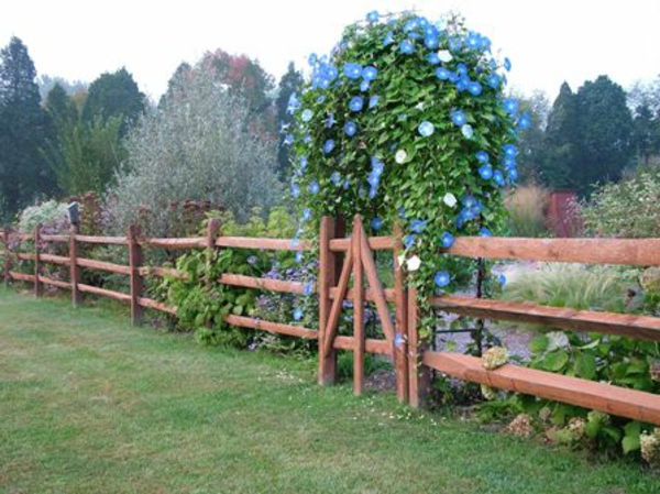 גדר גן - פרחים מודרניים בכחול
