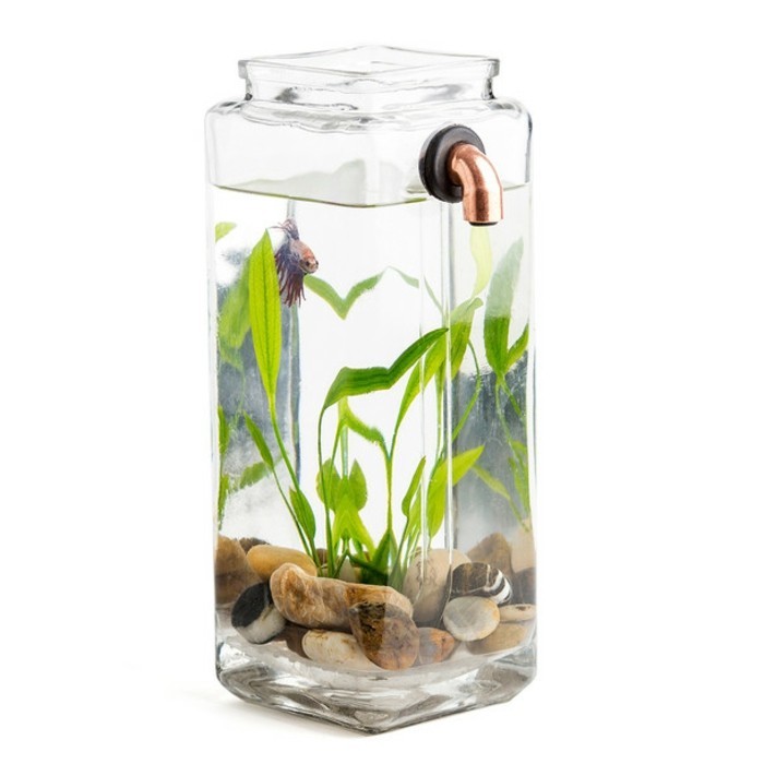 conception des idées-pour-aquarium-aquarium-déco avec pierres d'eau plantes petit aquarium