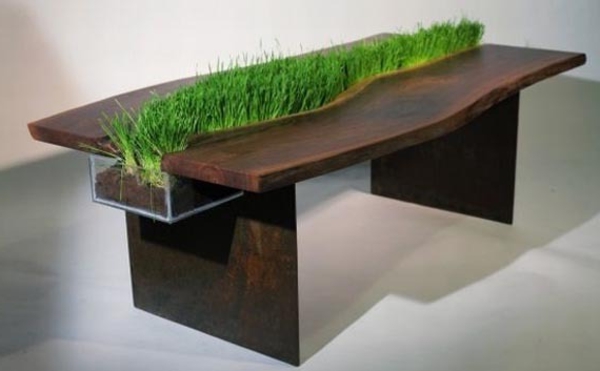 vert-gras-table de bois-Idee