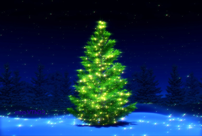 Πράσινο Τεχνητά Χριστουγεννιάτικα δέντρα Gorgeous-ματιά