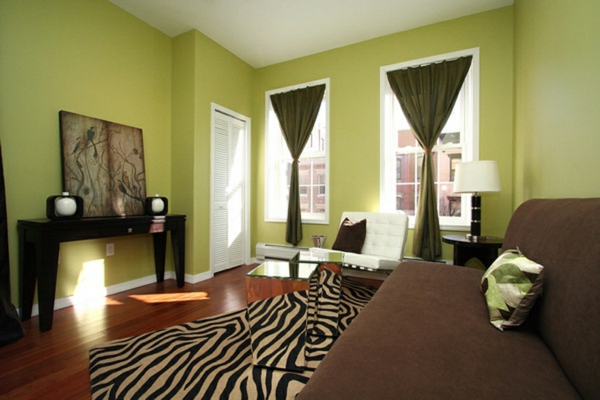绿色墙面漆，棕色沙发和地毯斑马线上实地木