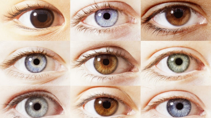siniset silmät merkitsevät ruskeat silmät harmaa vihreä keltaiset hasselpähkinät kissan silmät silmät