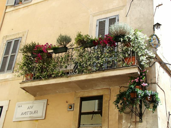 виси-balkonpflanzen-тераса-в-Рим
