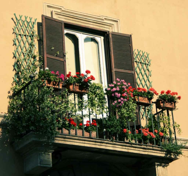 виси-balkonpflanzen-хладно-балкон-цвете