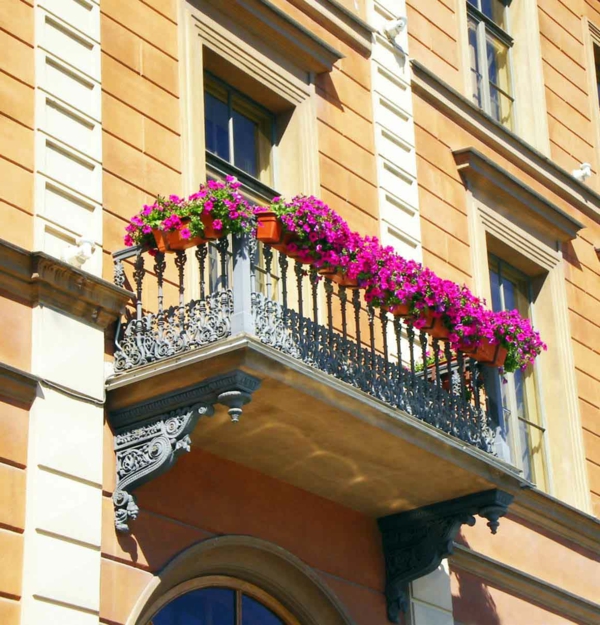 pendaison-balkonpflanzen décoration