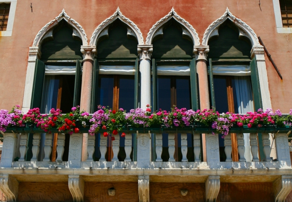 תלוי-balkonpflanzen-ונציה-גותי