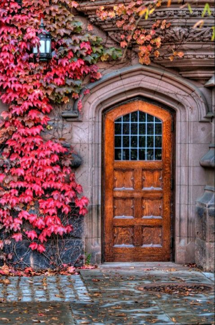 дървени врати-розов оставя старата сграда аристократичен