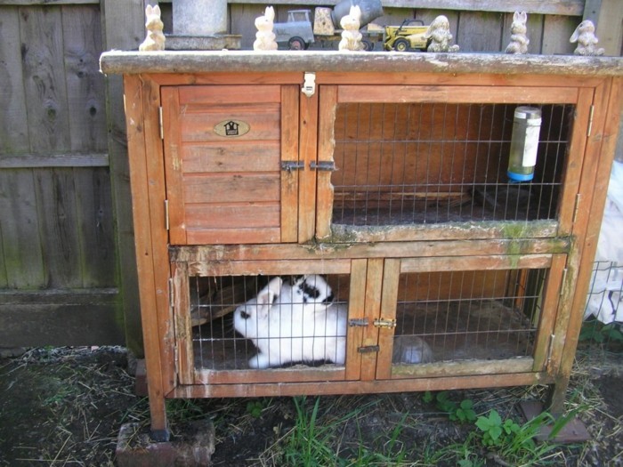 खरगोश स्टाल-खुद-निर्माण किसी भी-हो सकता है एक खरगोश स्टाल-स्व-निर्माण
