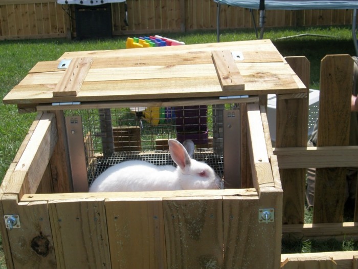 הארנבת דוכן-עצמו-Build-a-יכול-יפה-הייר הדוכנים עצמם-לבנות אחד