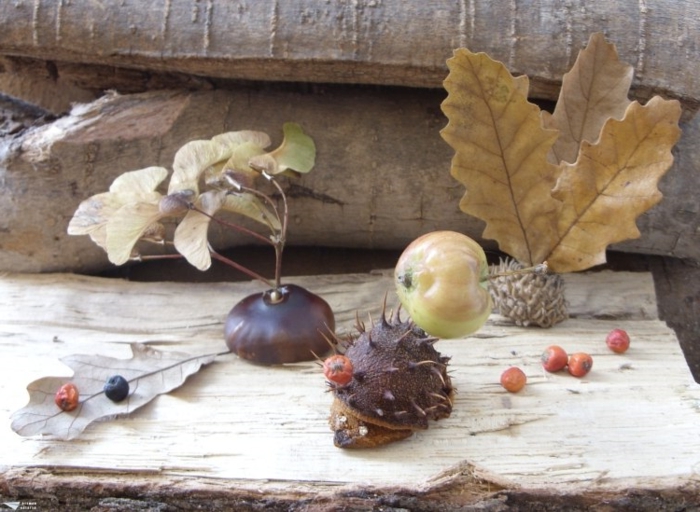 शरद ऋतु टिंकर-साथ-बच्चों-भूरा पत्तियां और-सेब