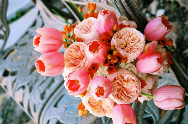 华丽的法国郁金香，在粉红色的配色方案