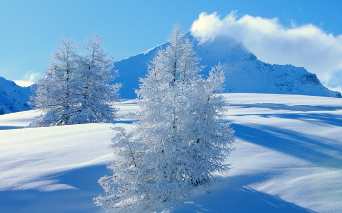 sininen valokuva - lumi vuoret - mukava kuva