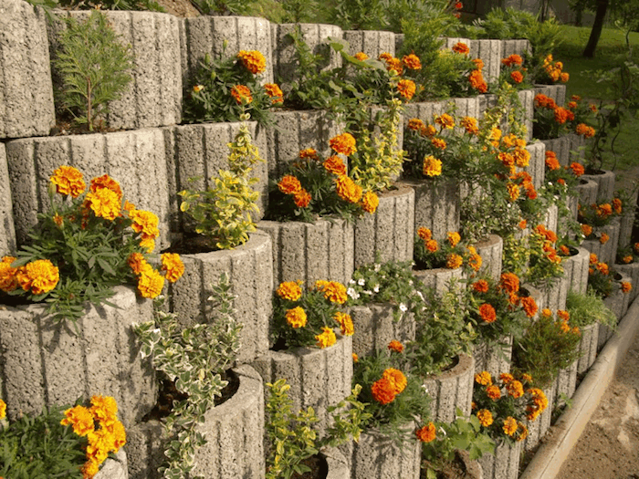 Pogledajte ovu ideju za vrt dizajn - ovdje ćete naći male biljke kamenja s narančastim malim cvjetovima