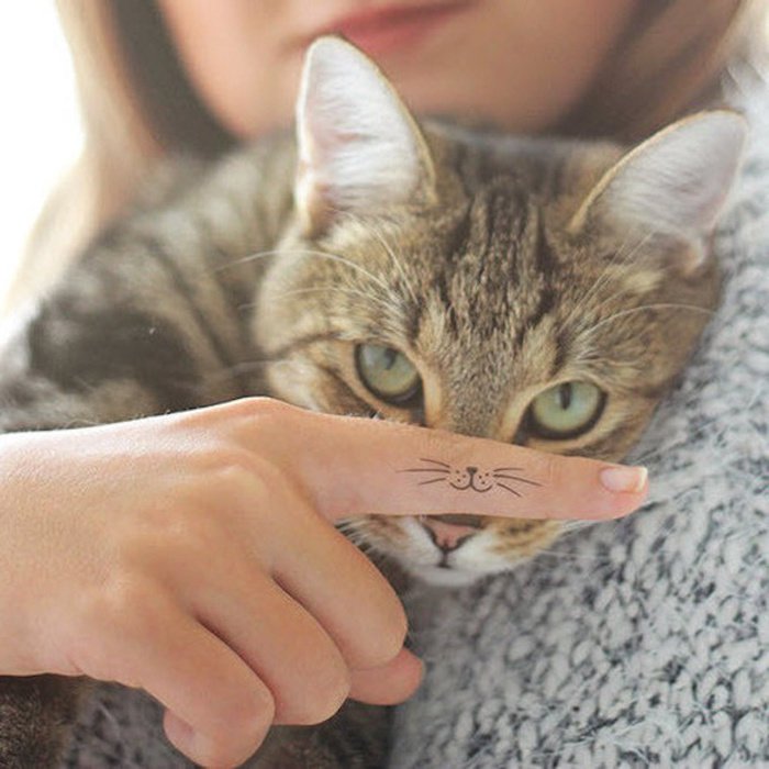 هنا قطة رمادية أخرى ذات عيون خضراء و يد بأصابع مع وشم قطة