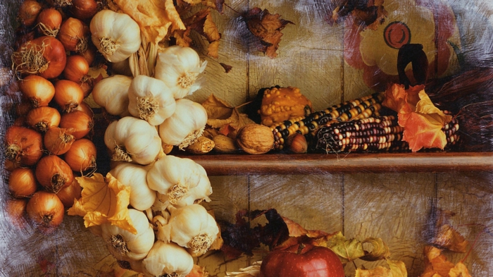 Affichage de la fenêtre des aliments de récolte d'automne