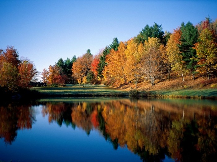 papier peint pour-automne-étang-et-beaux arbres